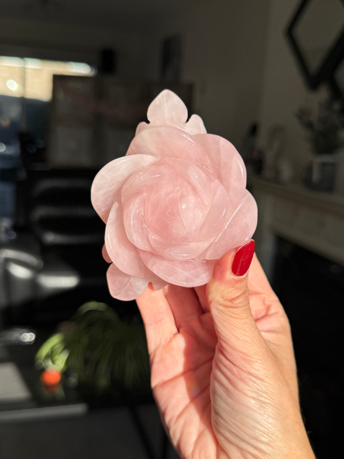 Rose Quartz Rose