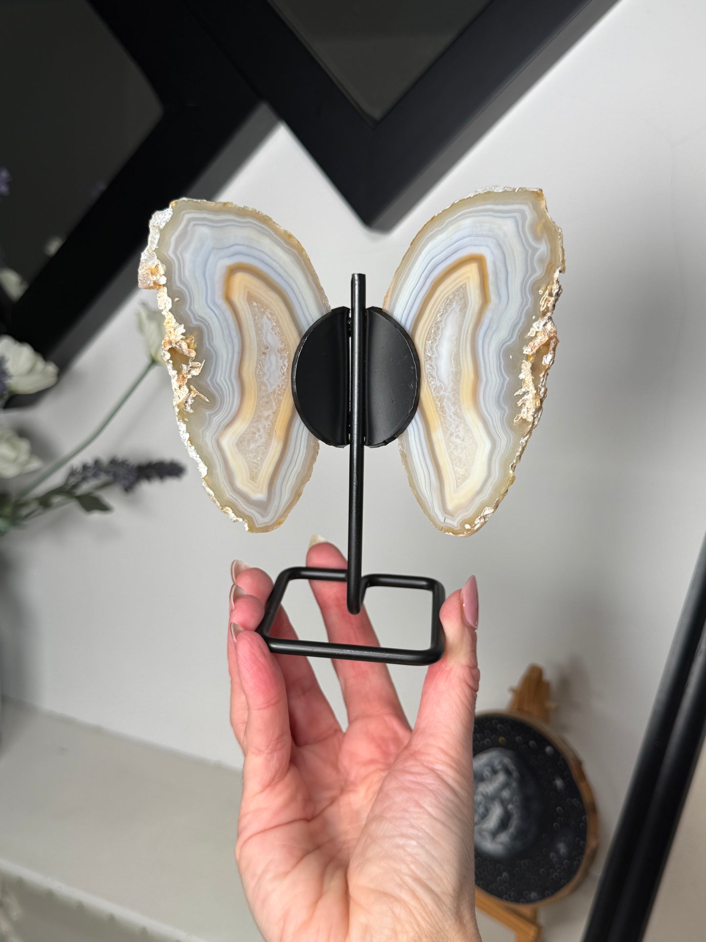 Agate Wings On Black Stand