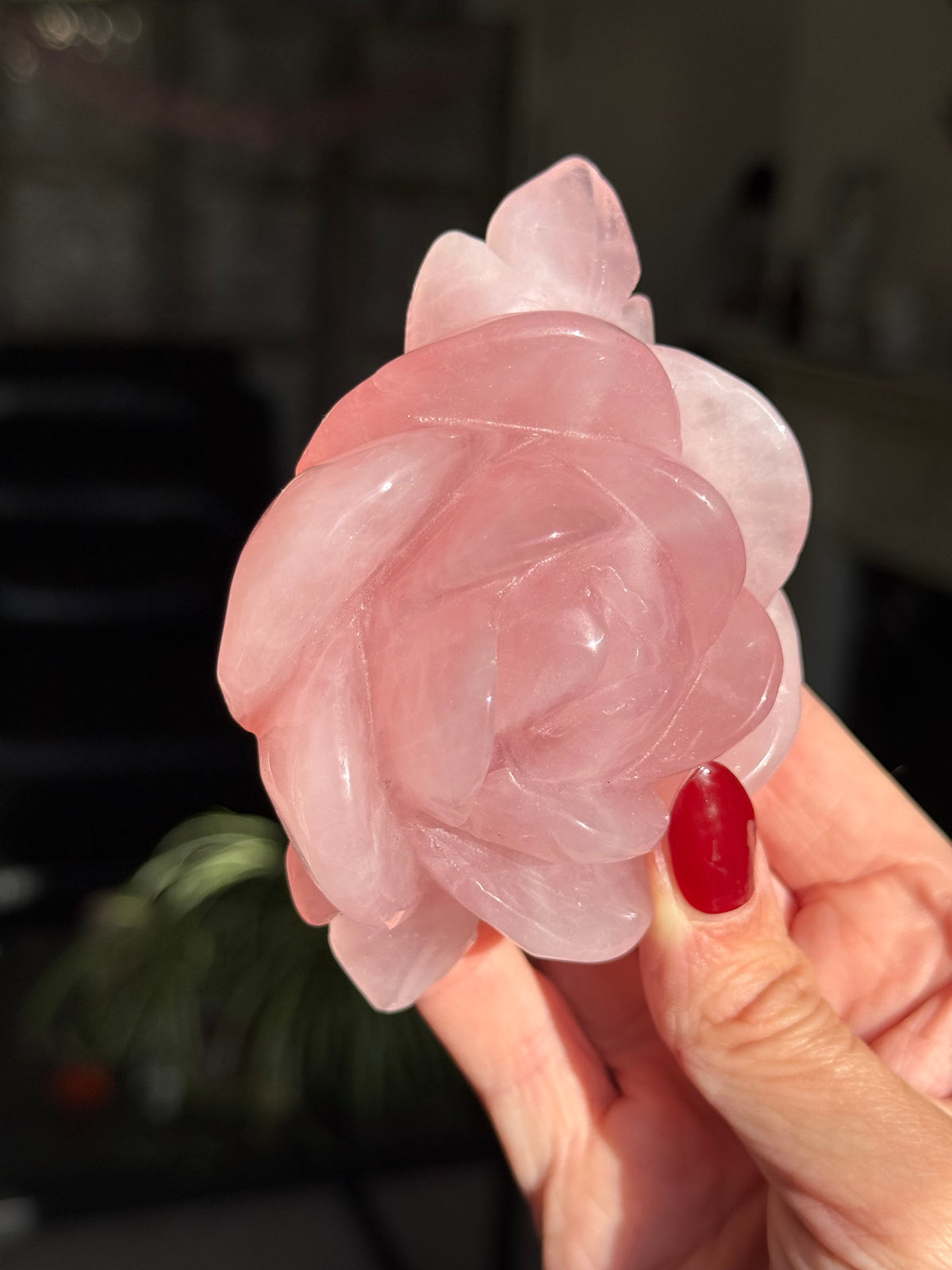 Rose Quartz Rose