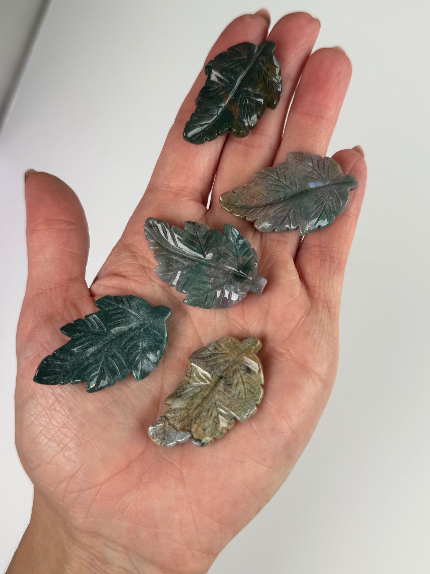 Jasper Leaves - Intuitively Chosen