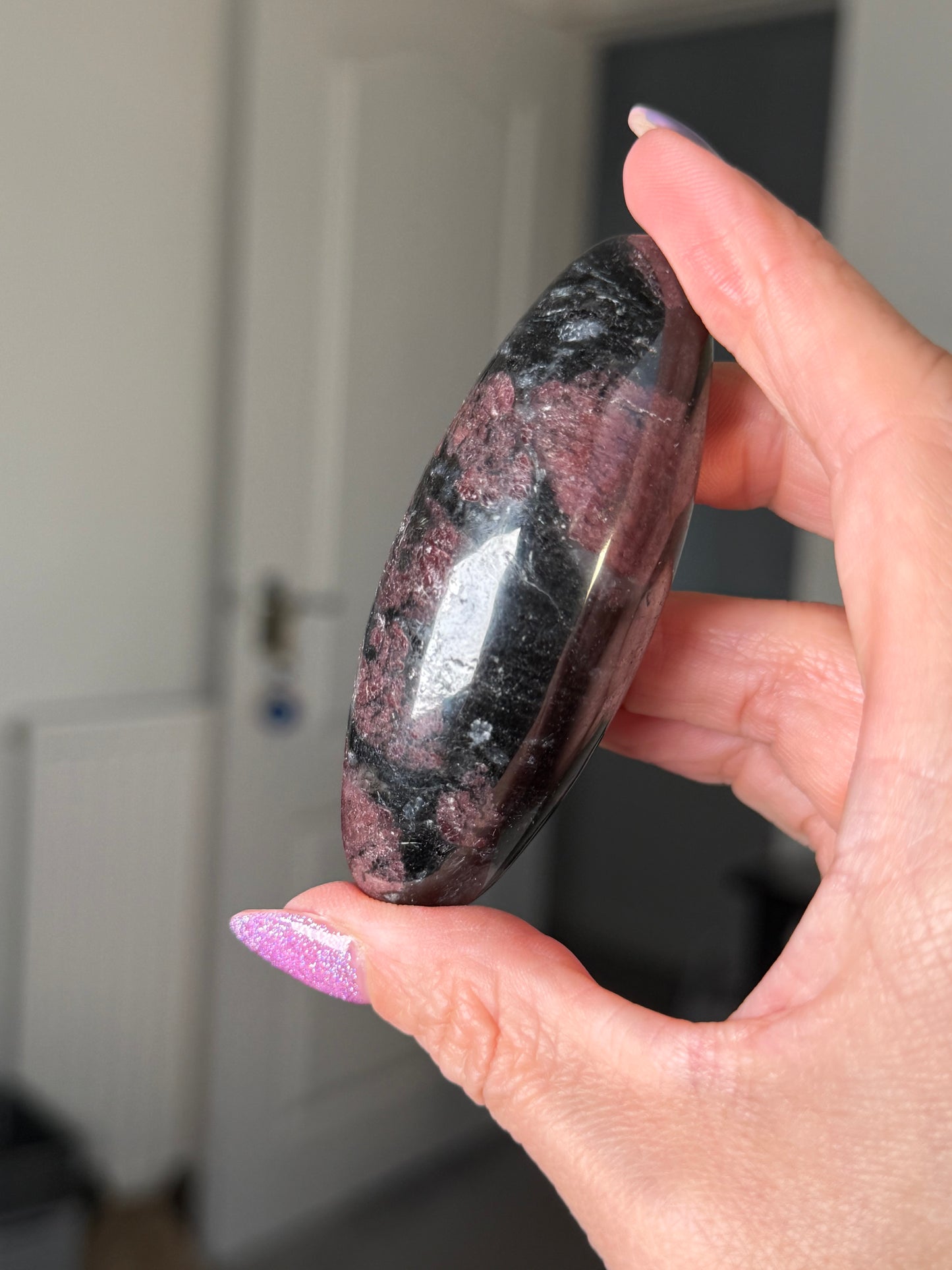 Garnet & Arfvedsonite Shiva