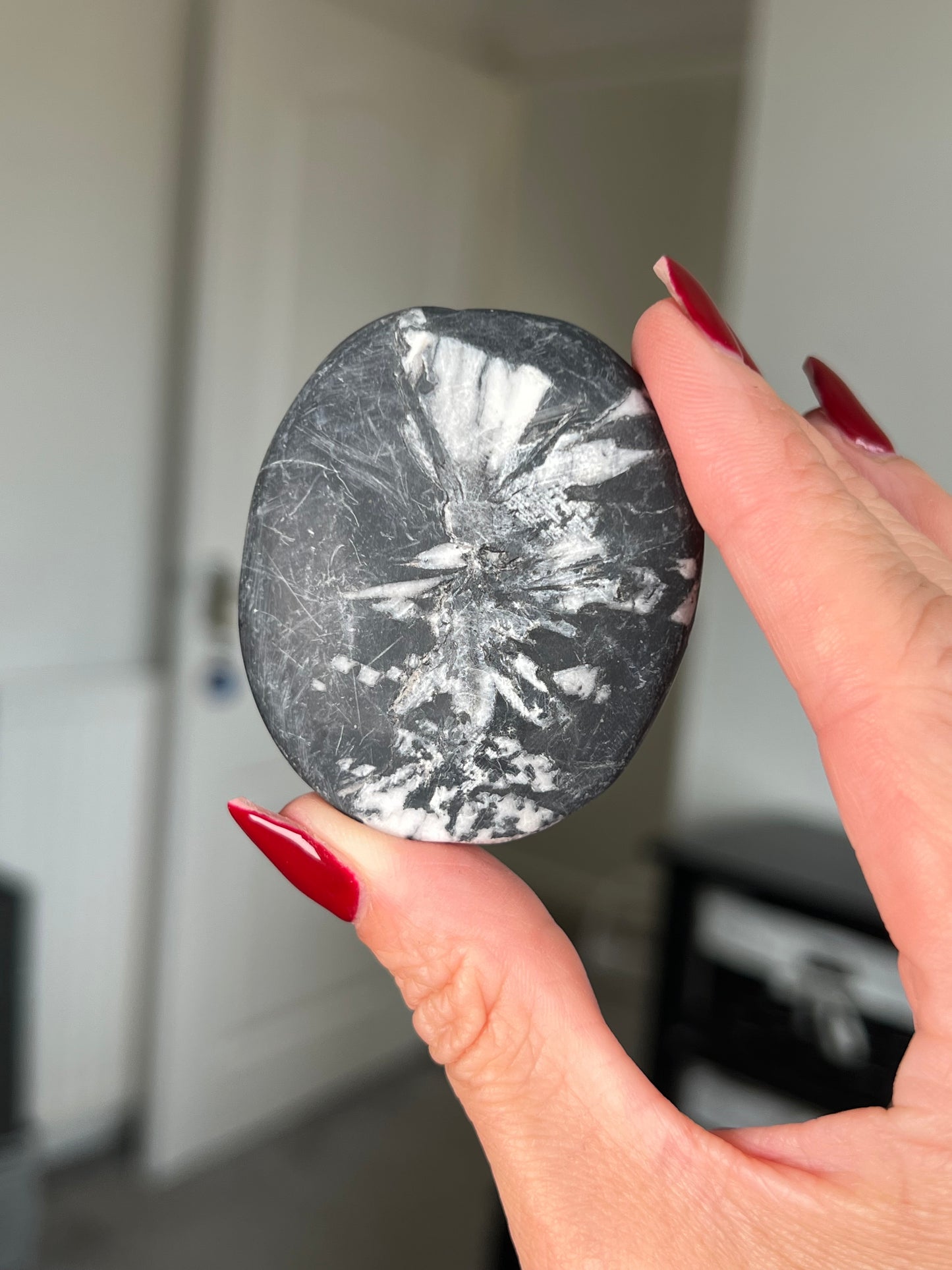 Chrysanthemum Stone
