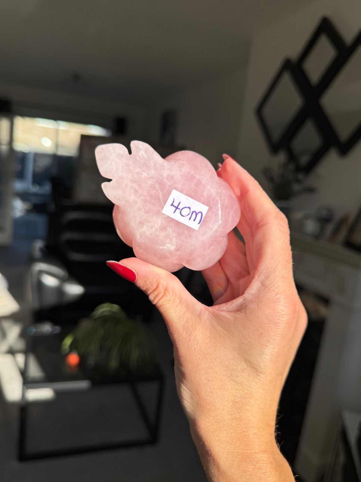 Rose Quartz Rose