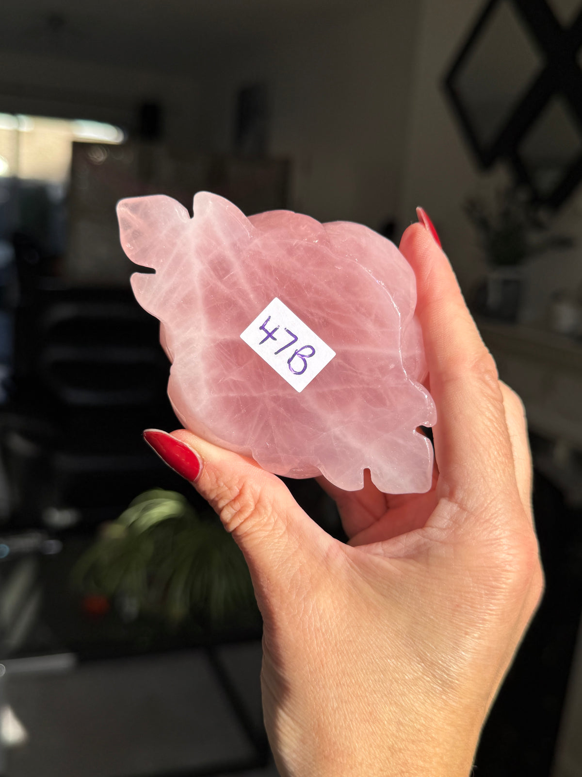 Rose Quartz Rose