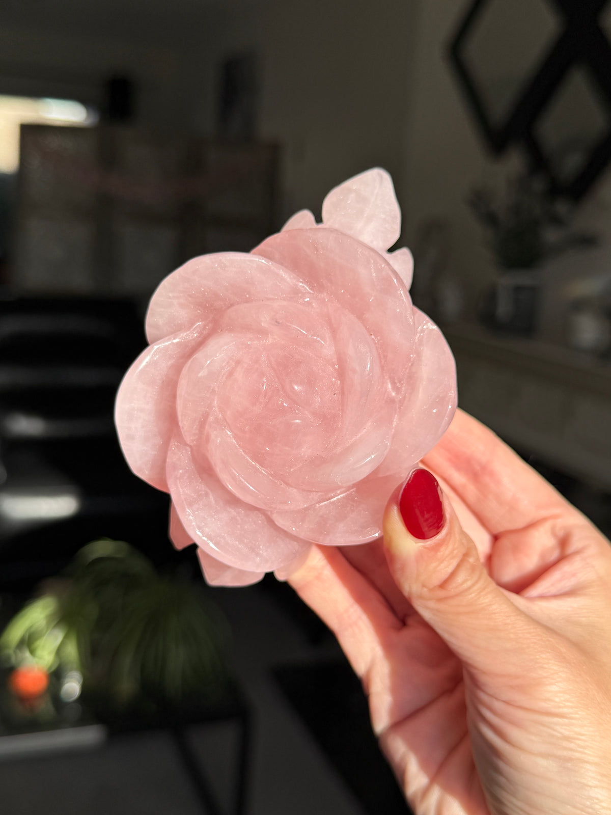 Rose Quartz Rose