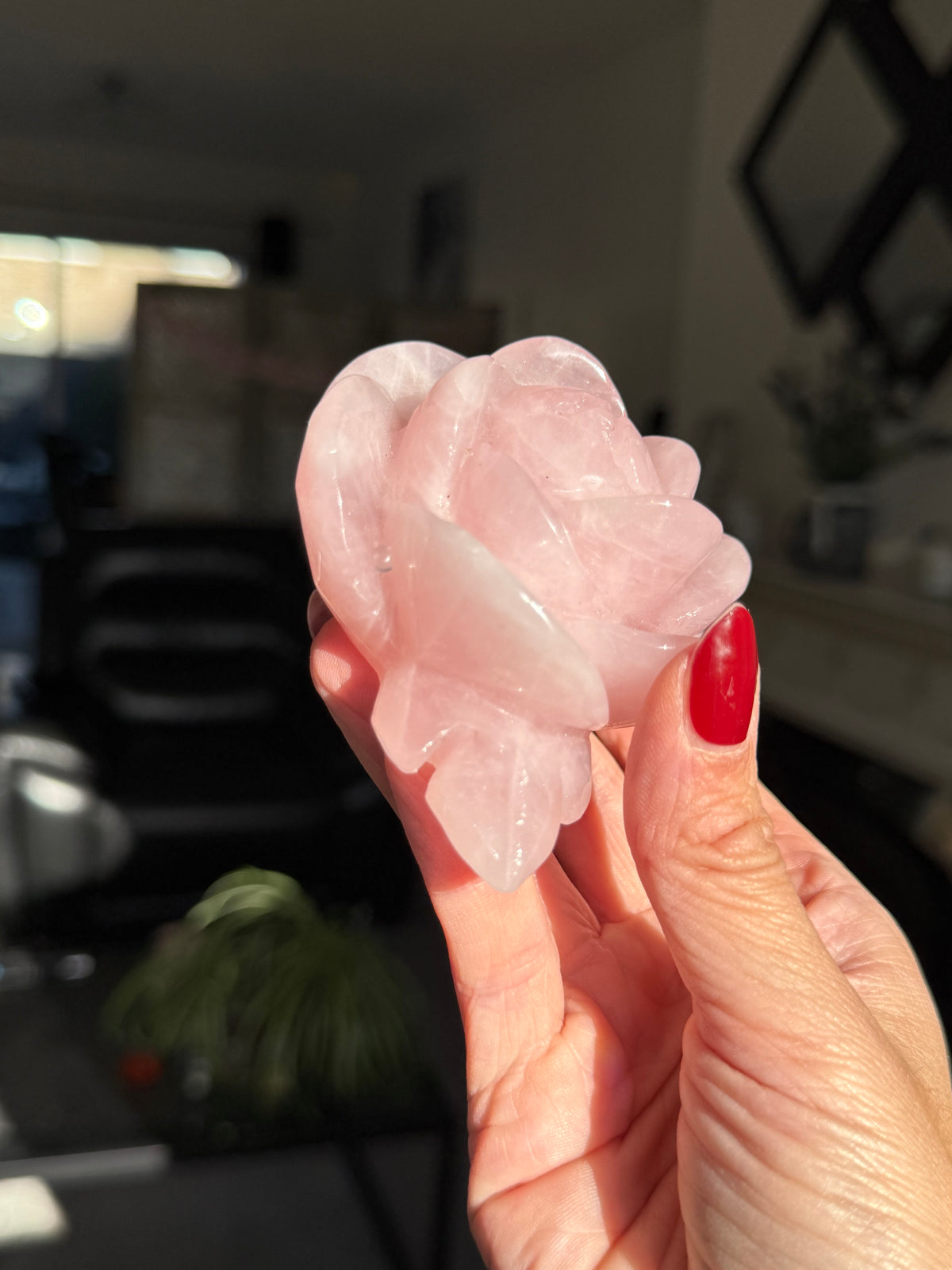 Rose Quartz Rose With Raindrop