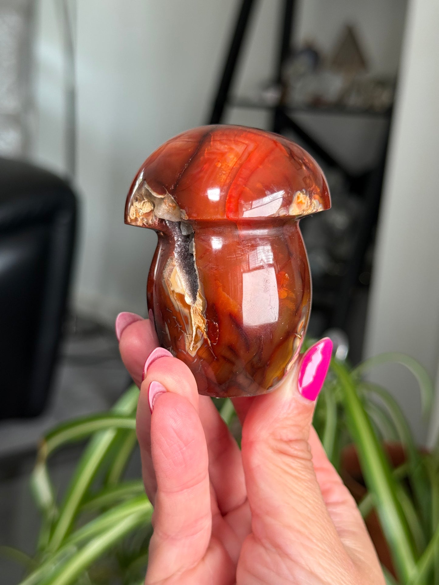 Carnelian Mushroom