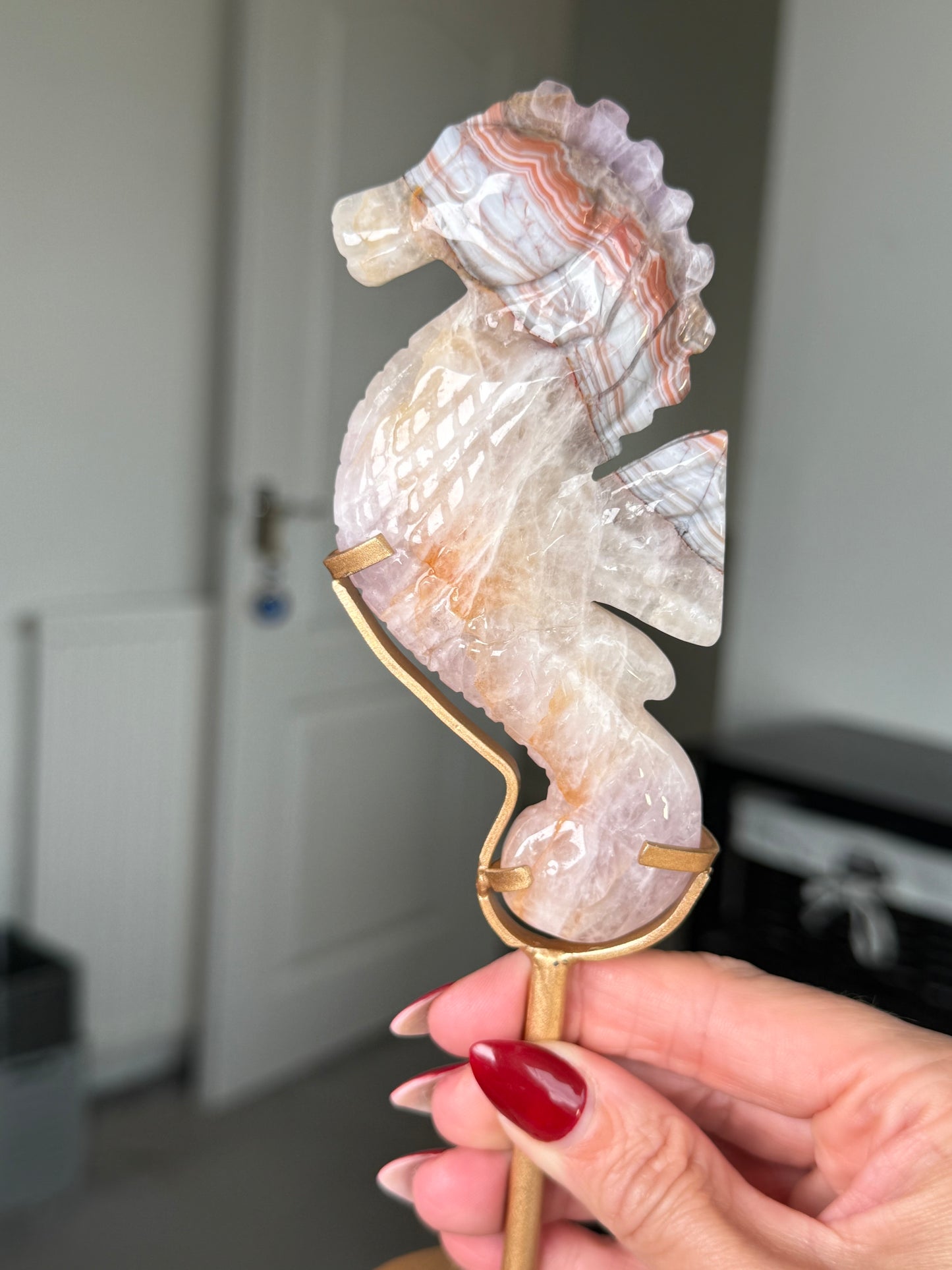 Amethyst Crazy Lace Agate Seahorse On Gold Stand