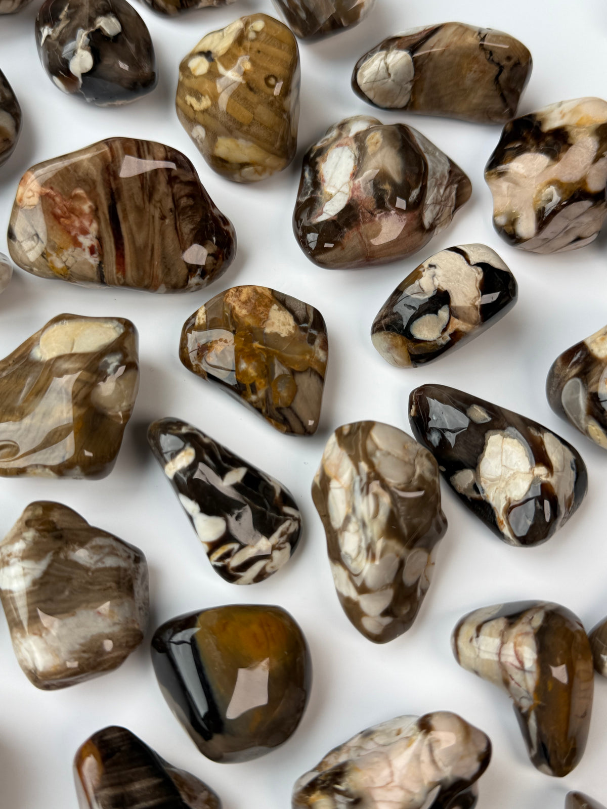 Peanut Wood Jasper Tumbles