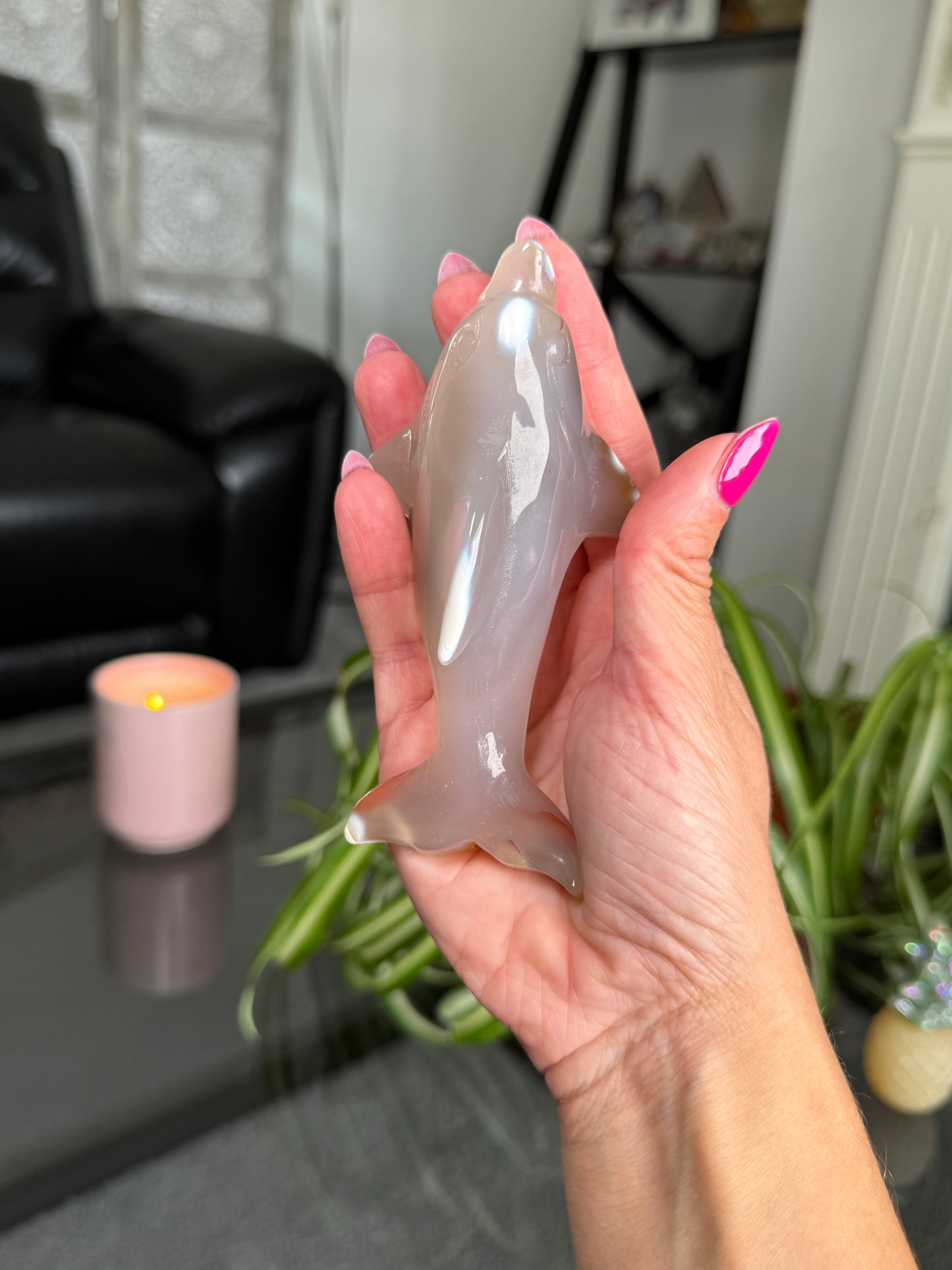 Agate Dolphin