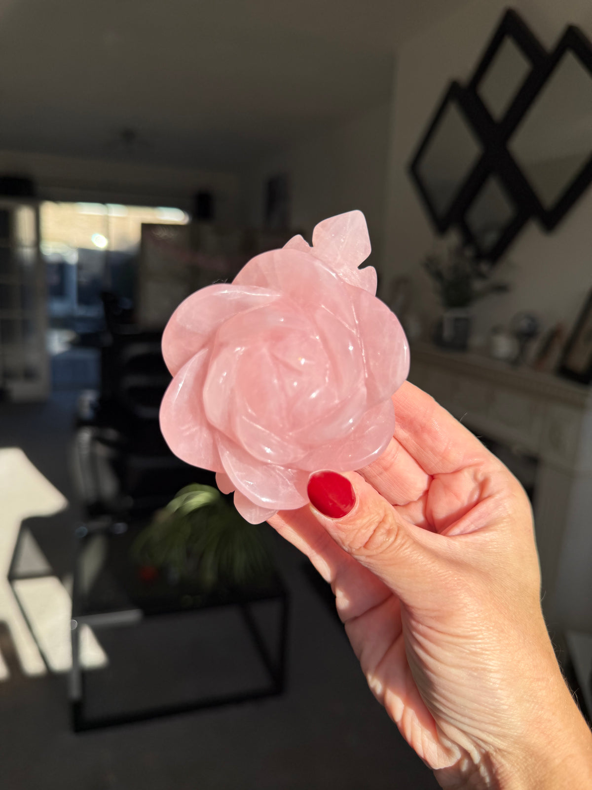 Rose Quartz Rose