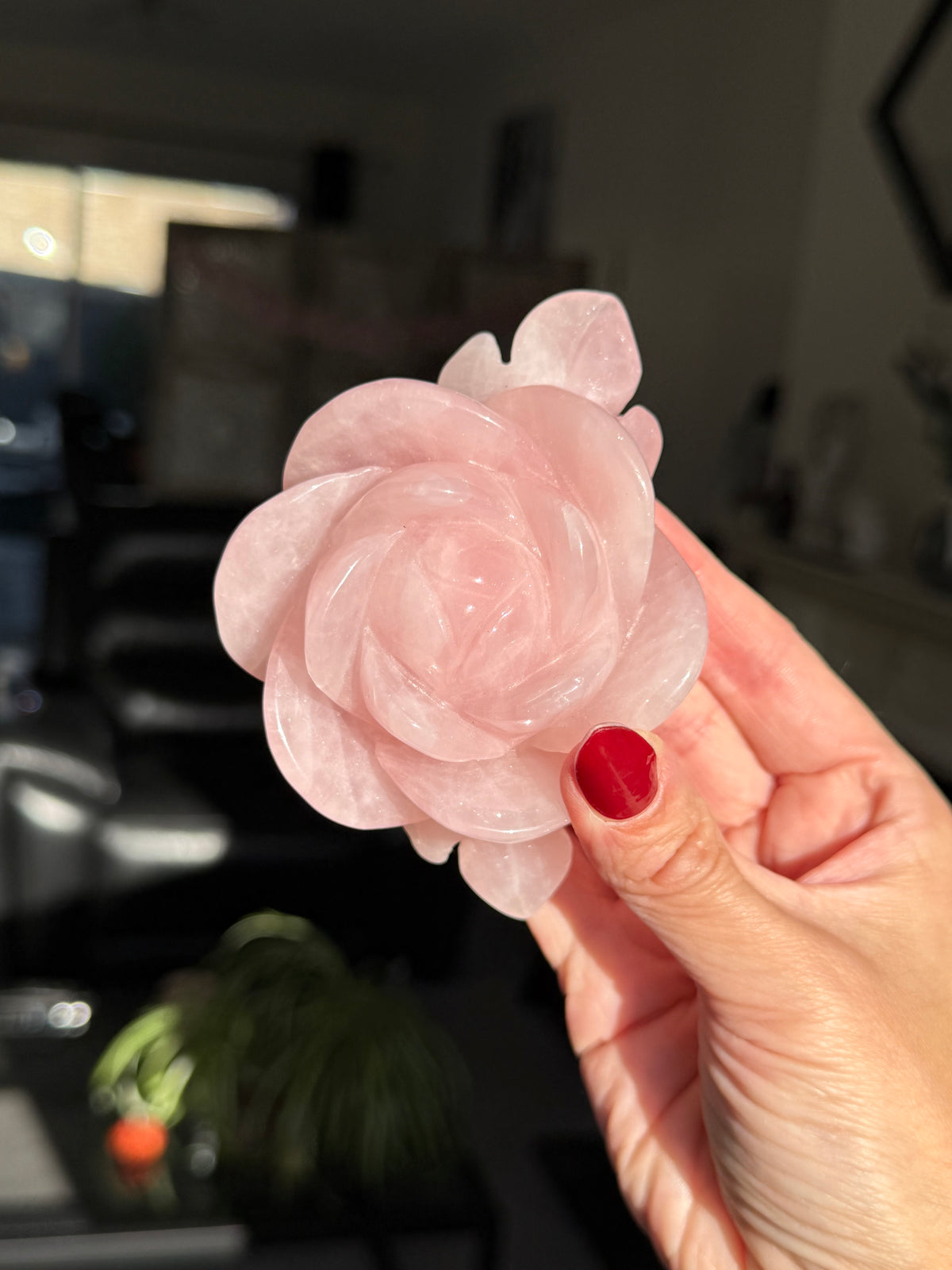 Rose Quartz Rose