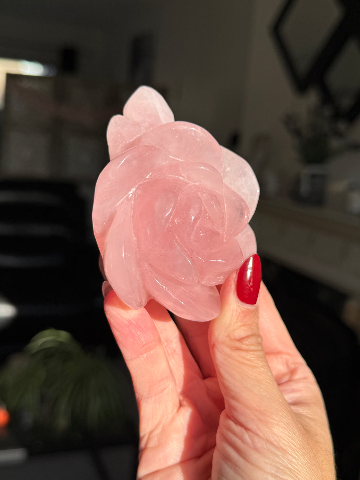 Rose Quartz Rose