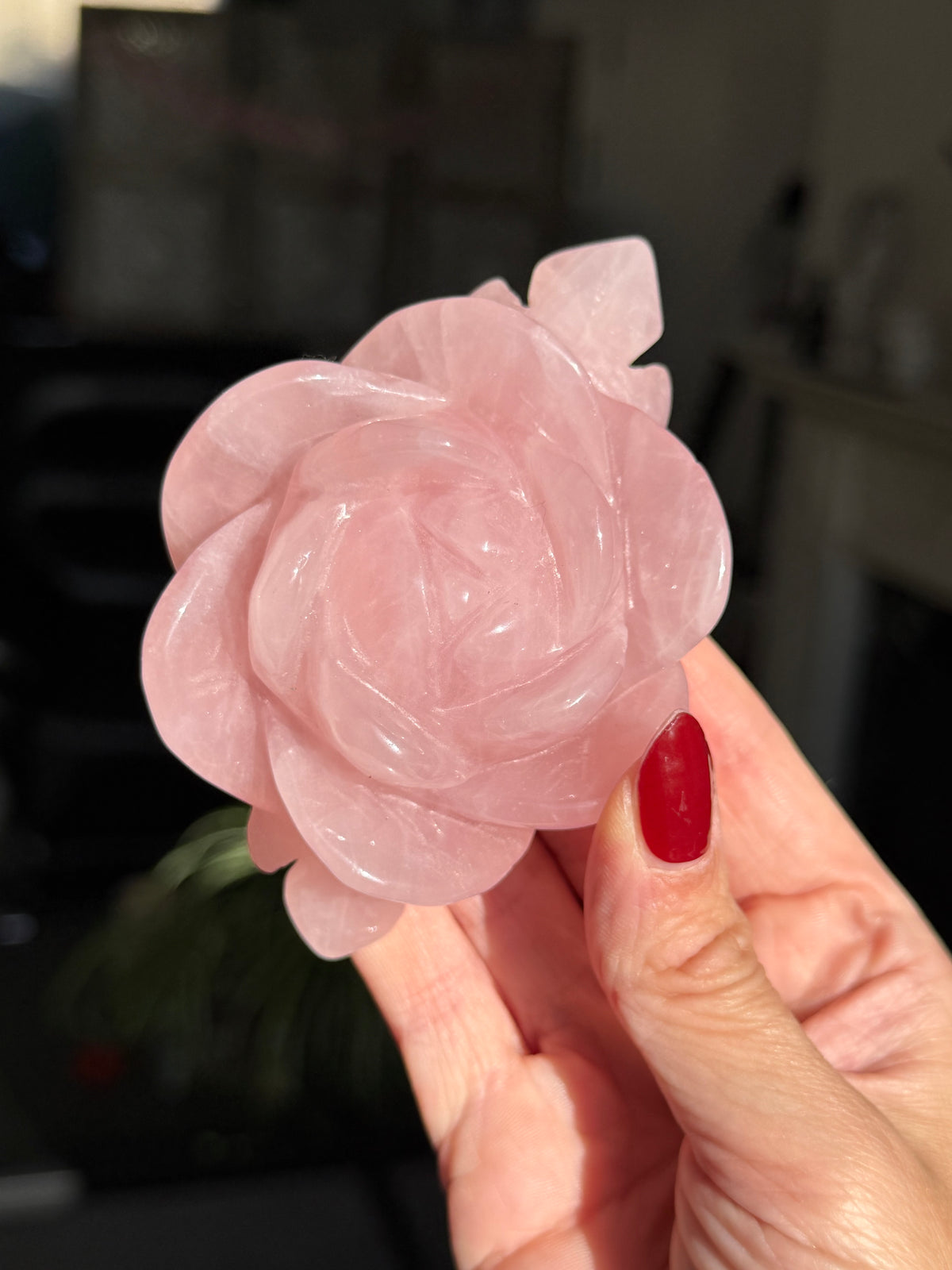 Rose Quartz Rose