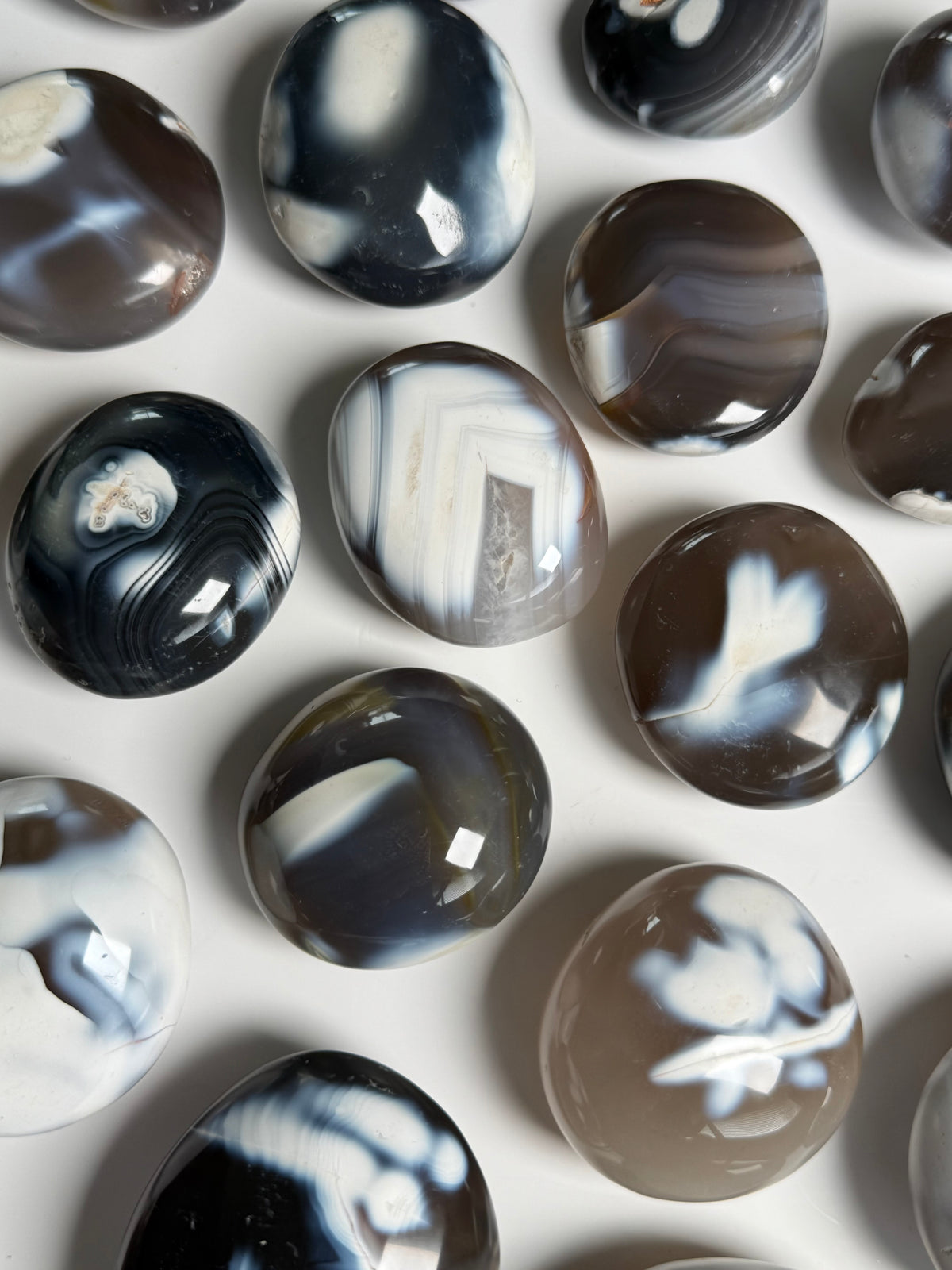 Orca Agate Palm Stone - Intuitively Chosen