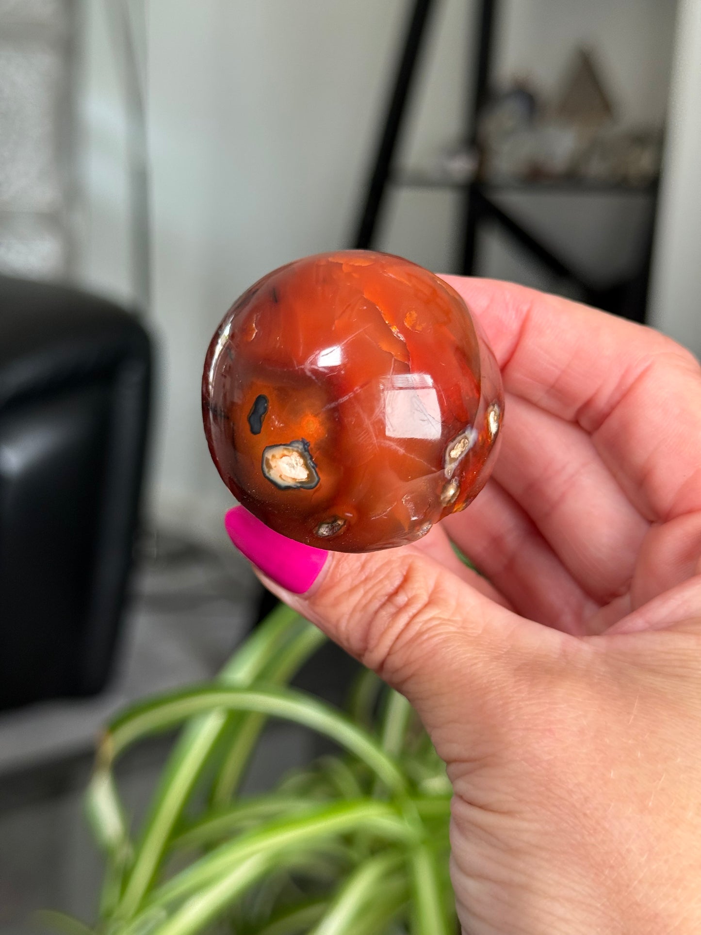 Carnelian Mushroom
