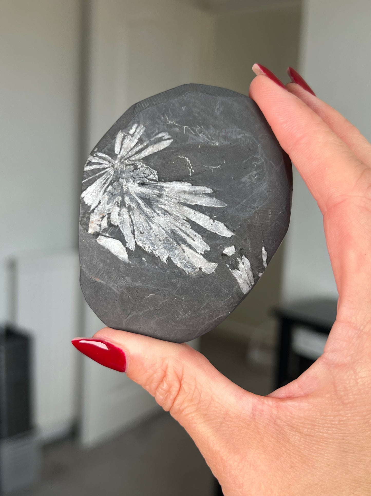 Chrysanthemum Stone