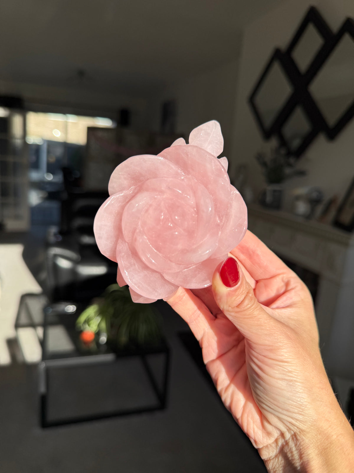 Rose Quartz Rose