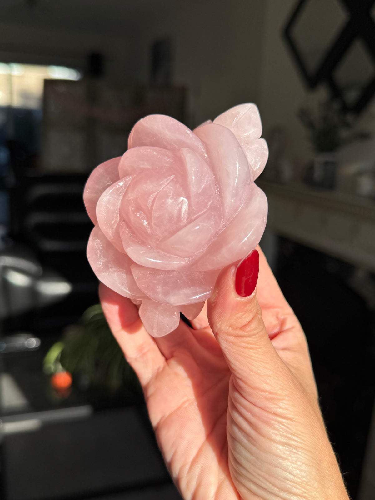 Rose Quartz Rose