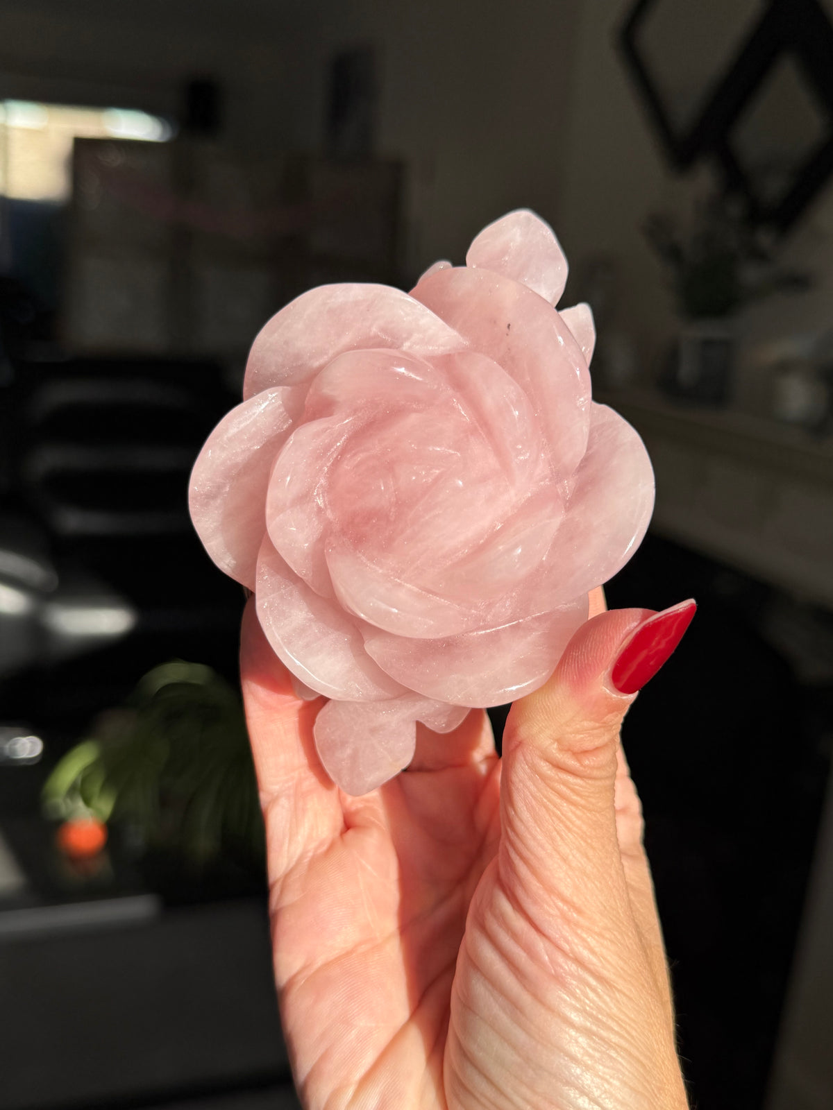 Rose Quartz Rose