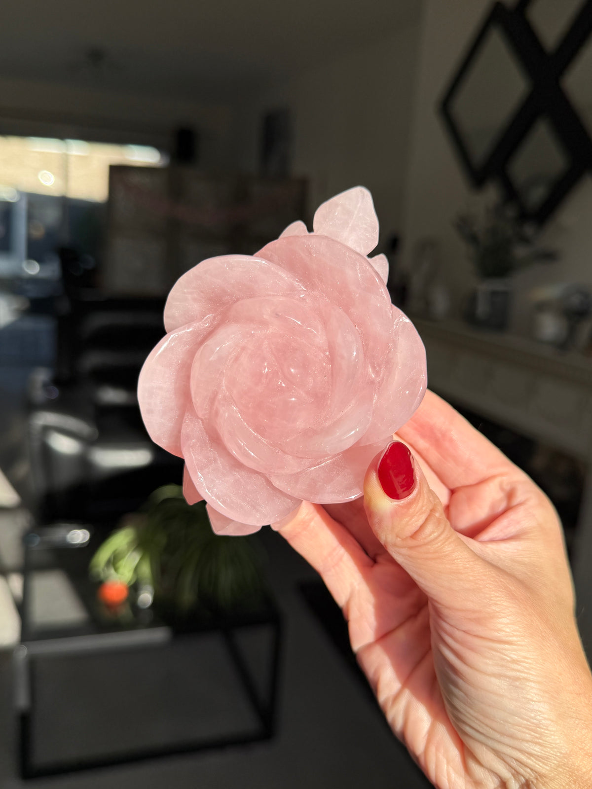 Rose Quartz Rose