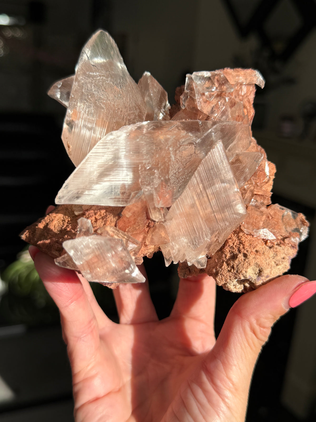 Self Standing Naica Selenite Collectors Piece