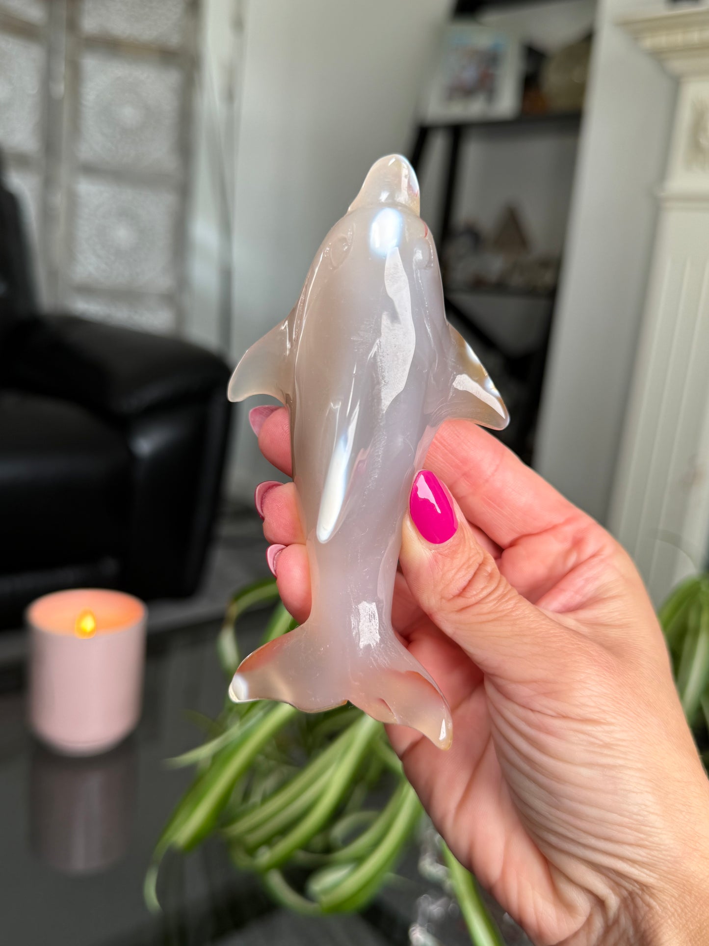 Agate Dolphin