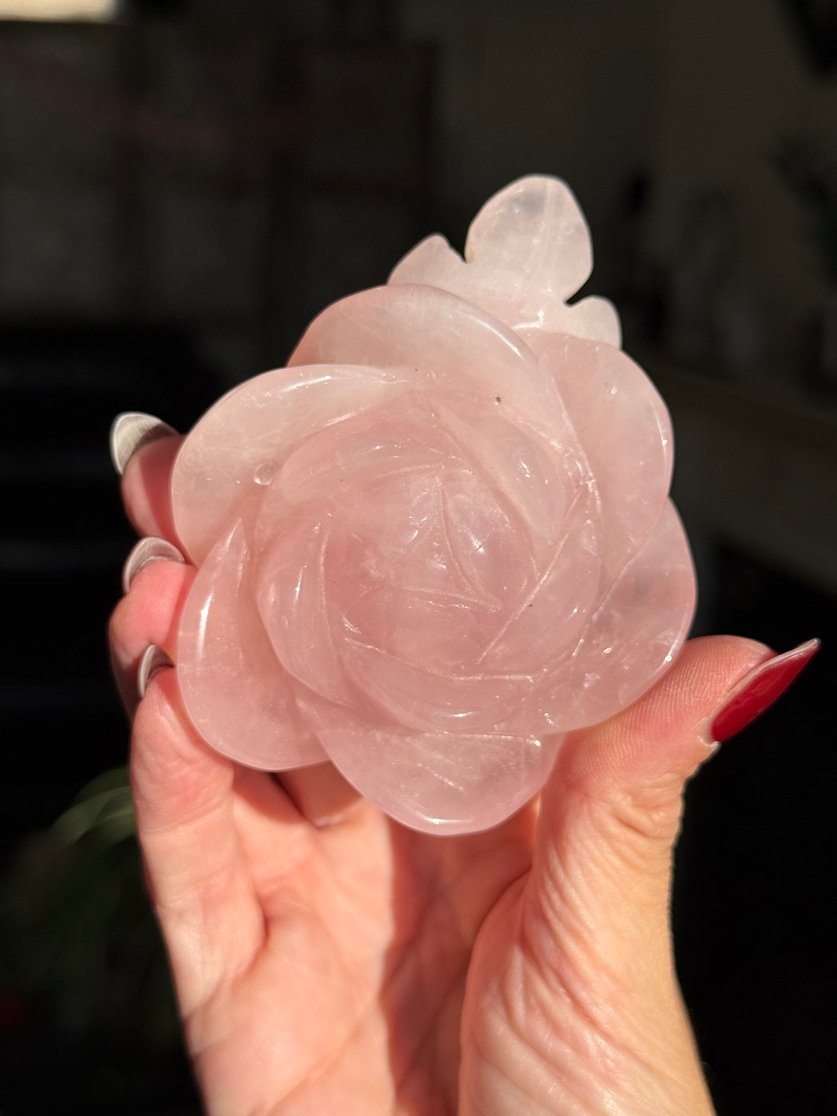Rose Quartz Rose With Raindrop