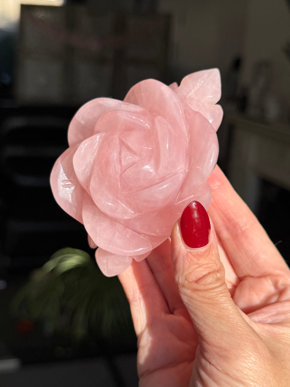 Rose Quartz Rose