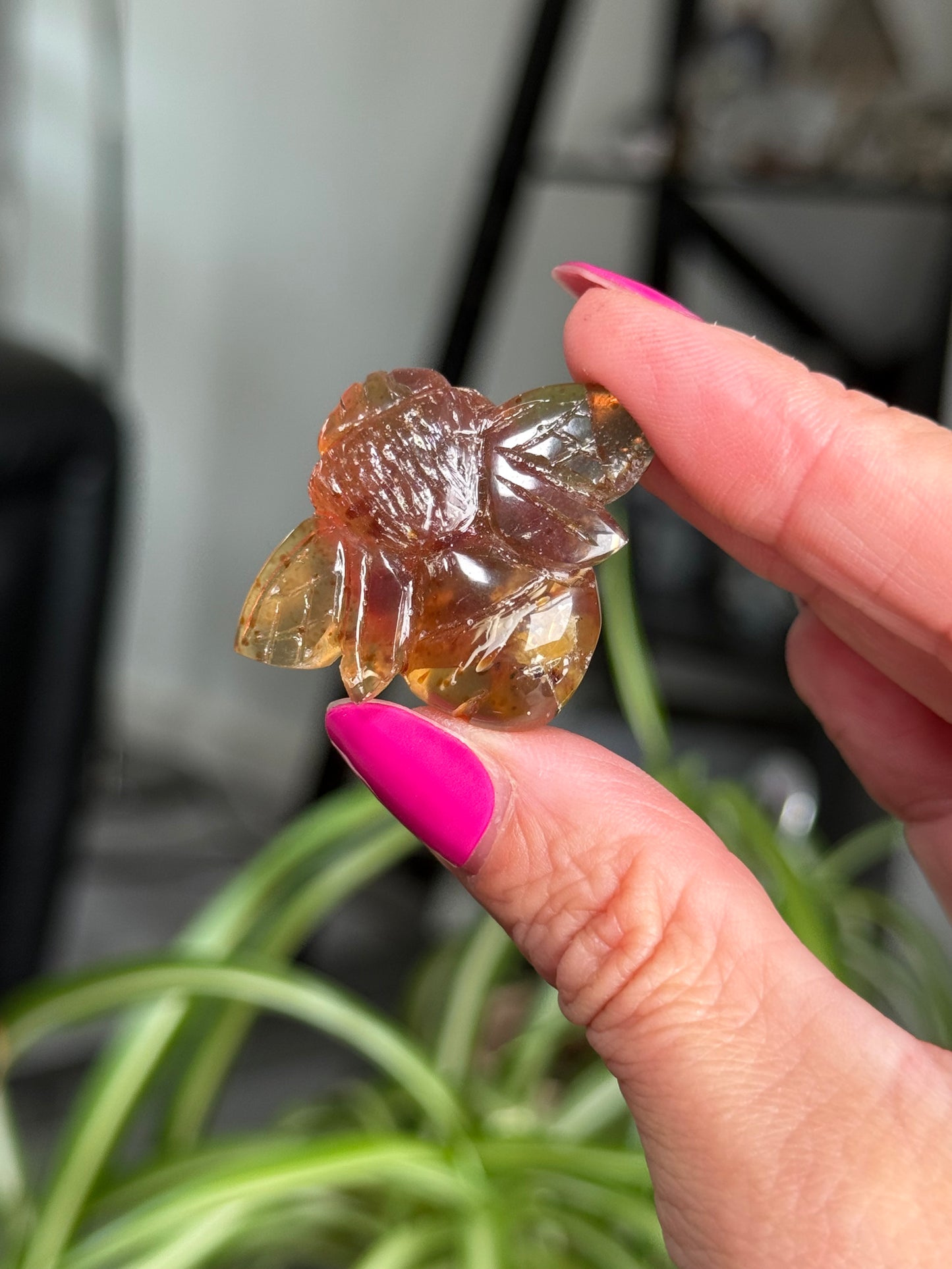 Amber Bees