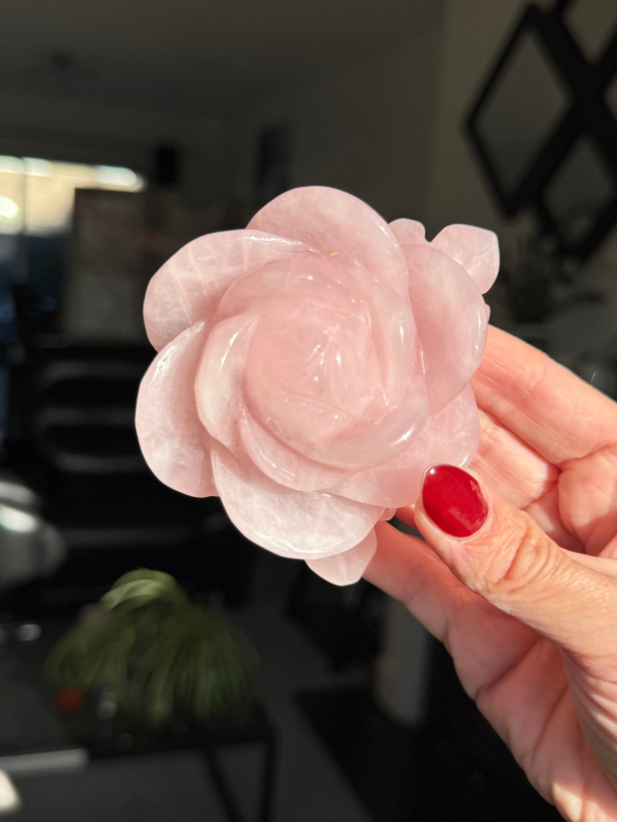 Rose Quartz Rose With Raindrop
