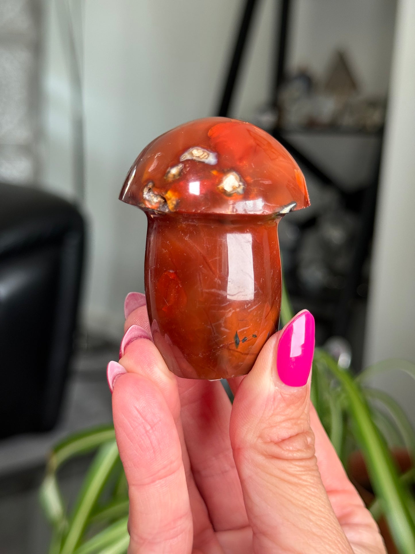 Carnelian Mushroom