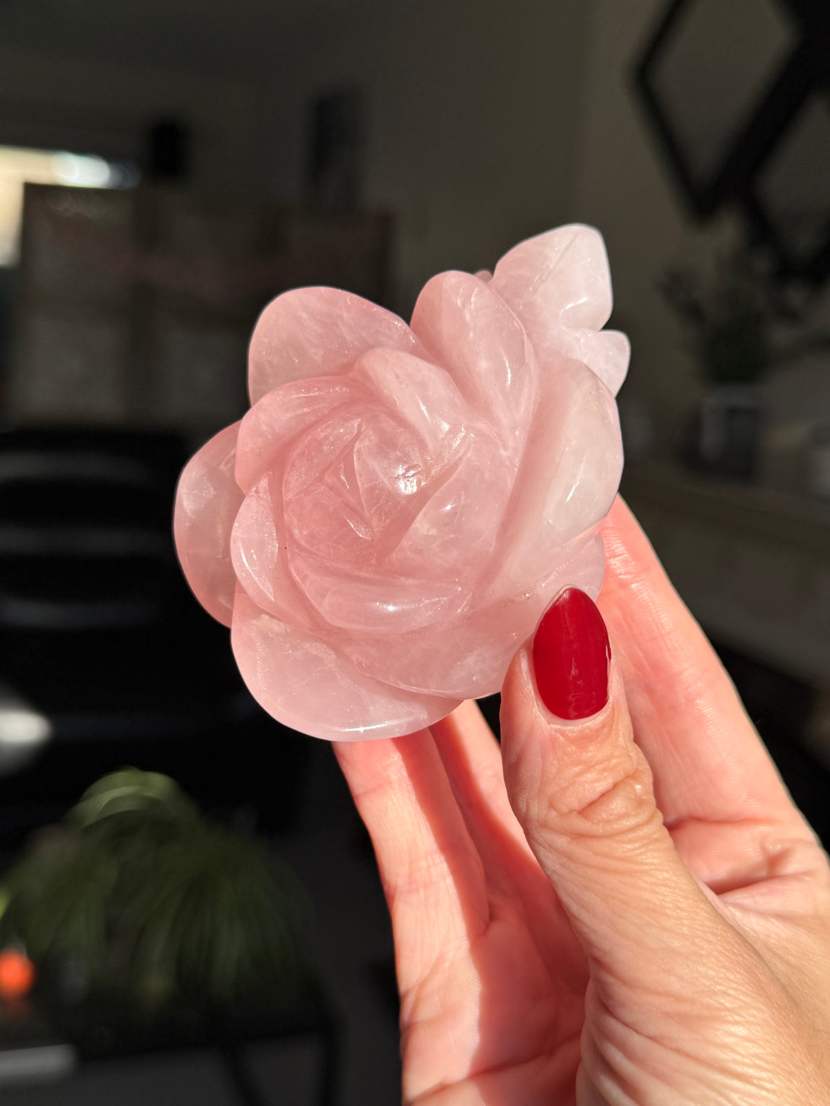 Rose Quartz Rose