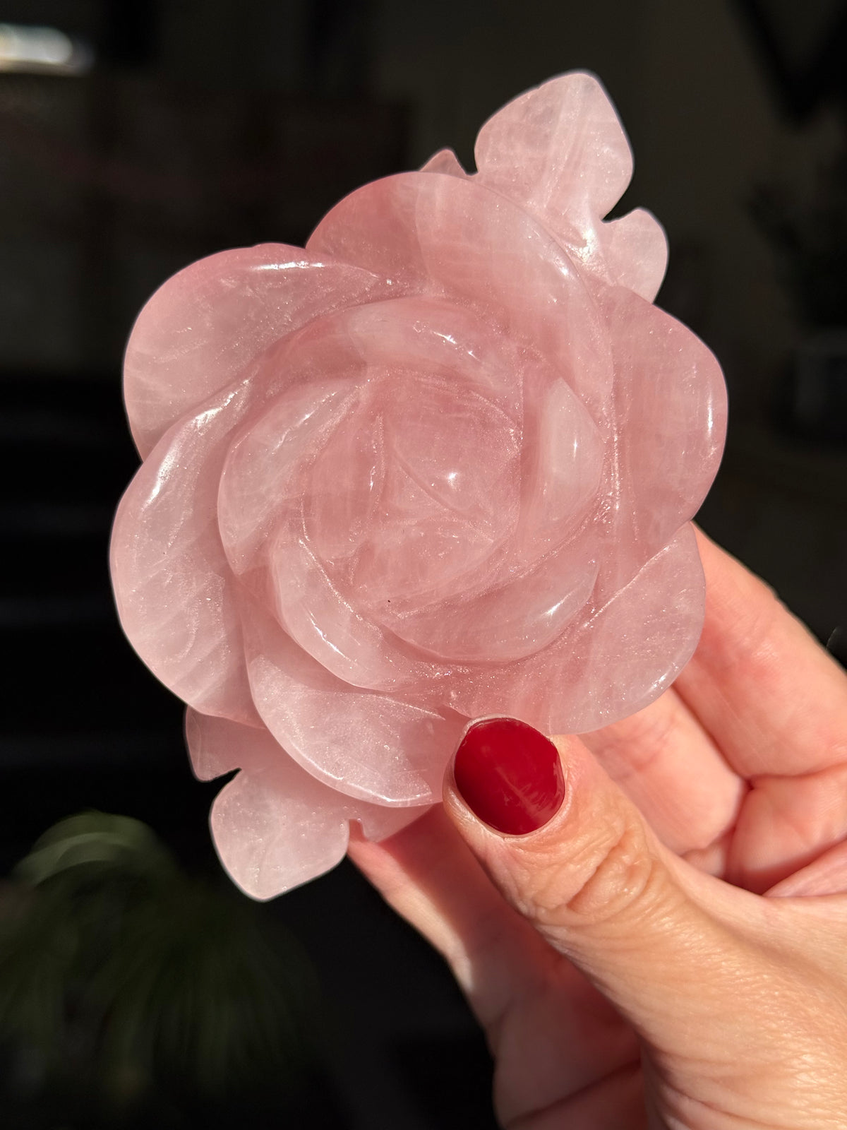 Rose Quartz Rose