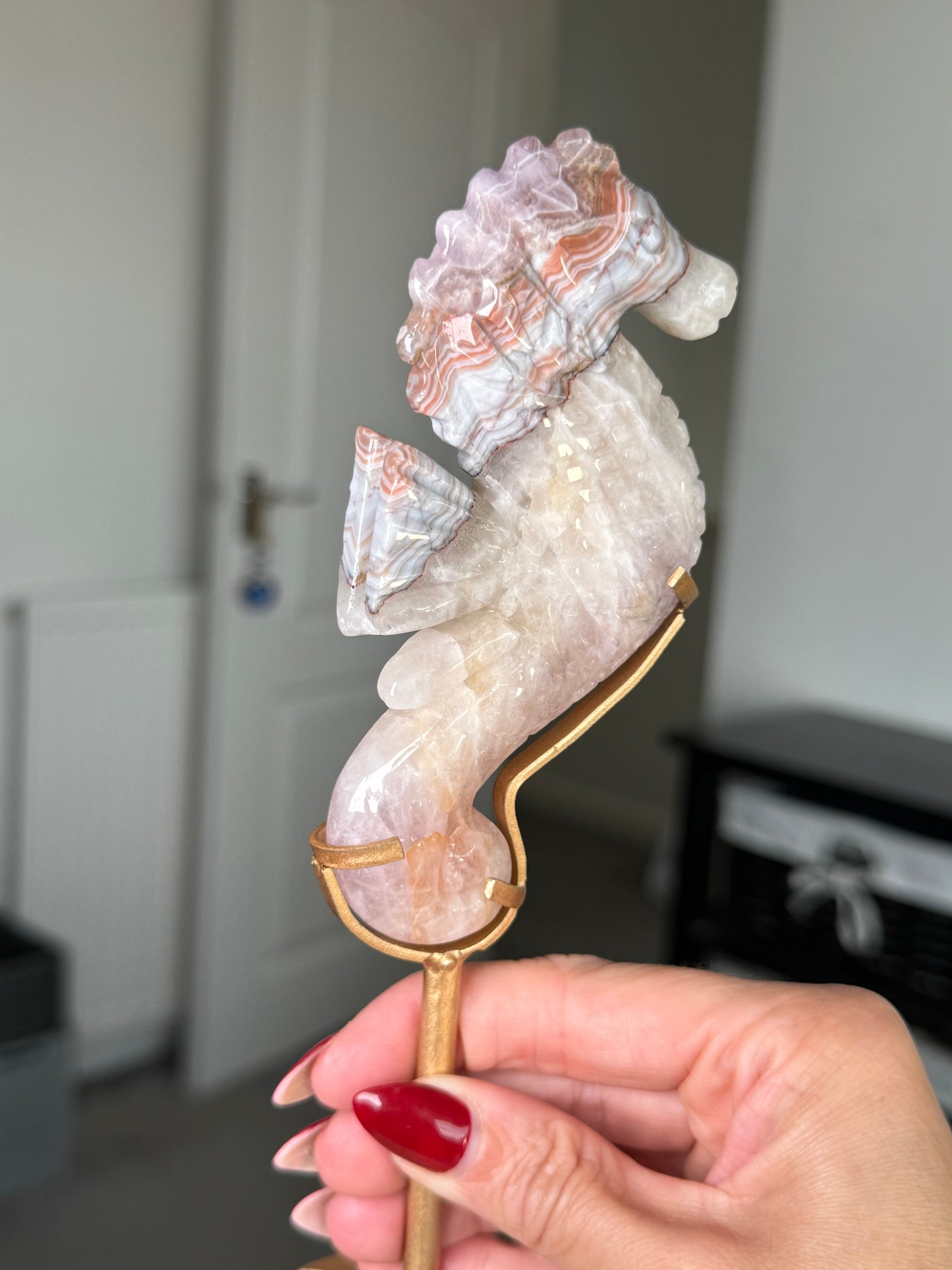 Amethyst Crazy Lace Agate Seahorse On Gold Stand
