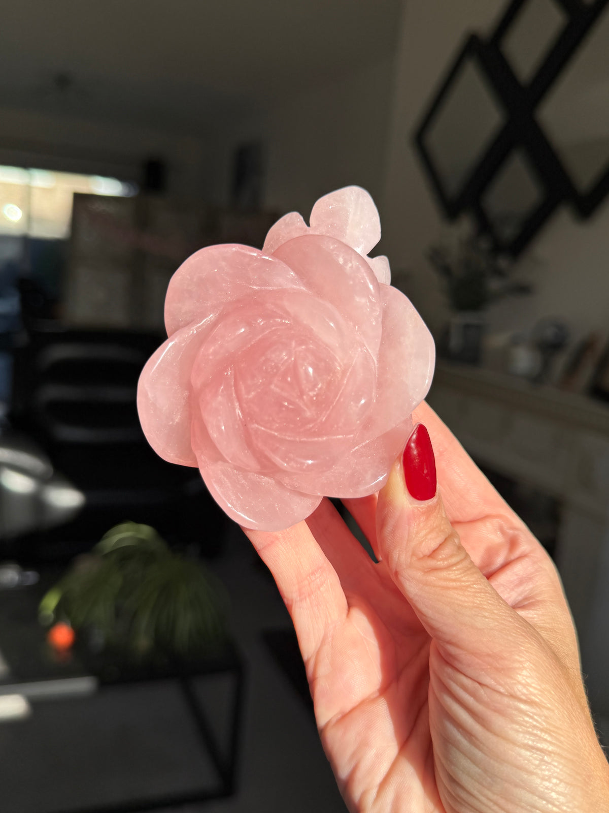 Rose Quartz Rose