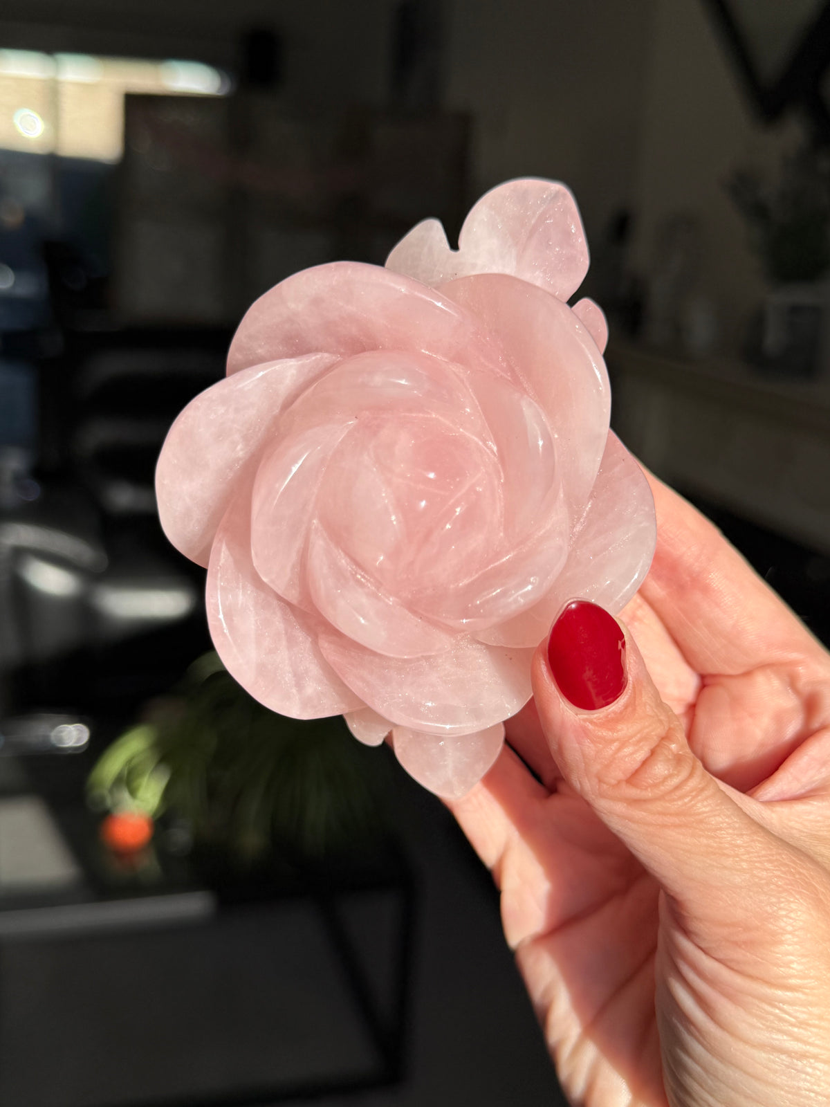 Rose Quartz Rose