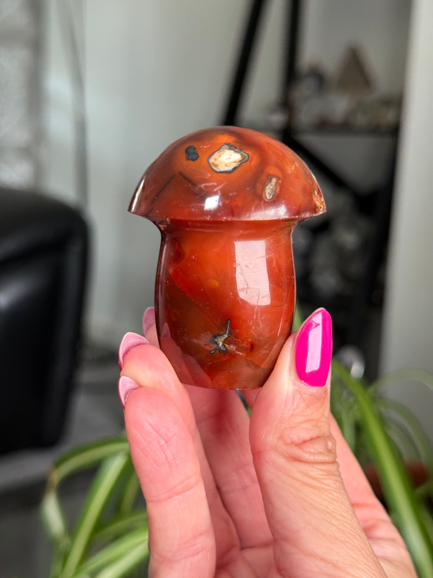 Carnelian Mushroom