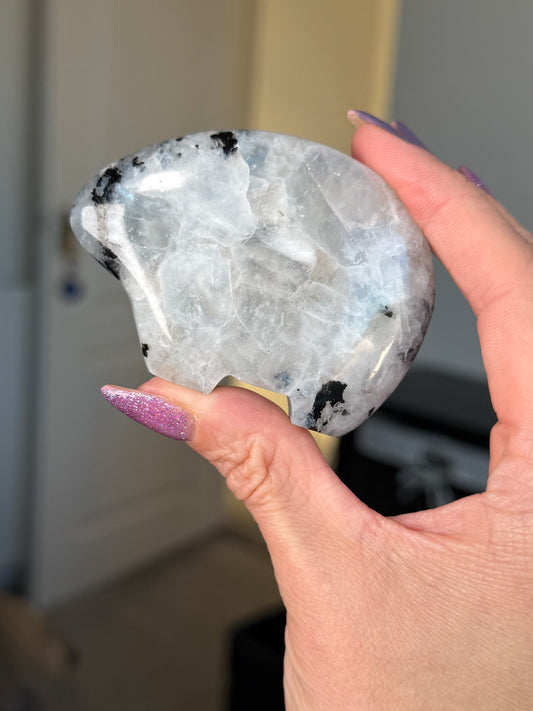 Rainbow Moonstone Zuni Bear