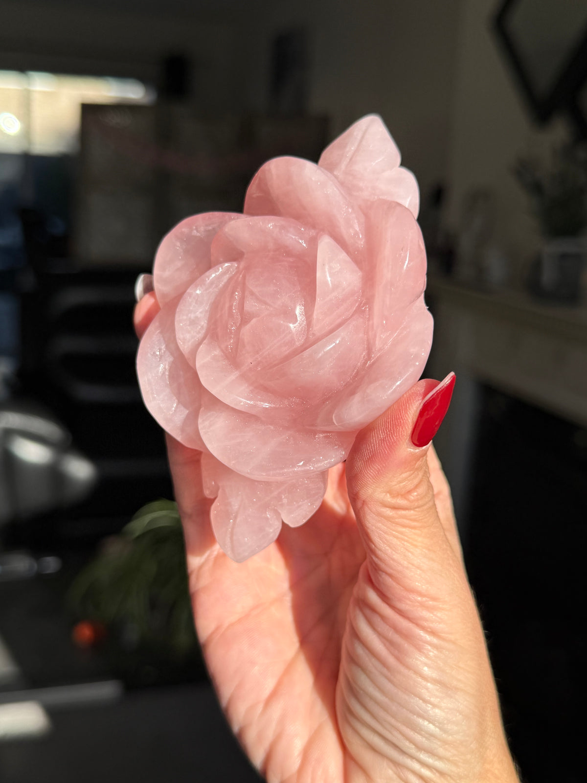 Rose Quartz Rose