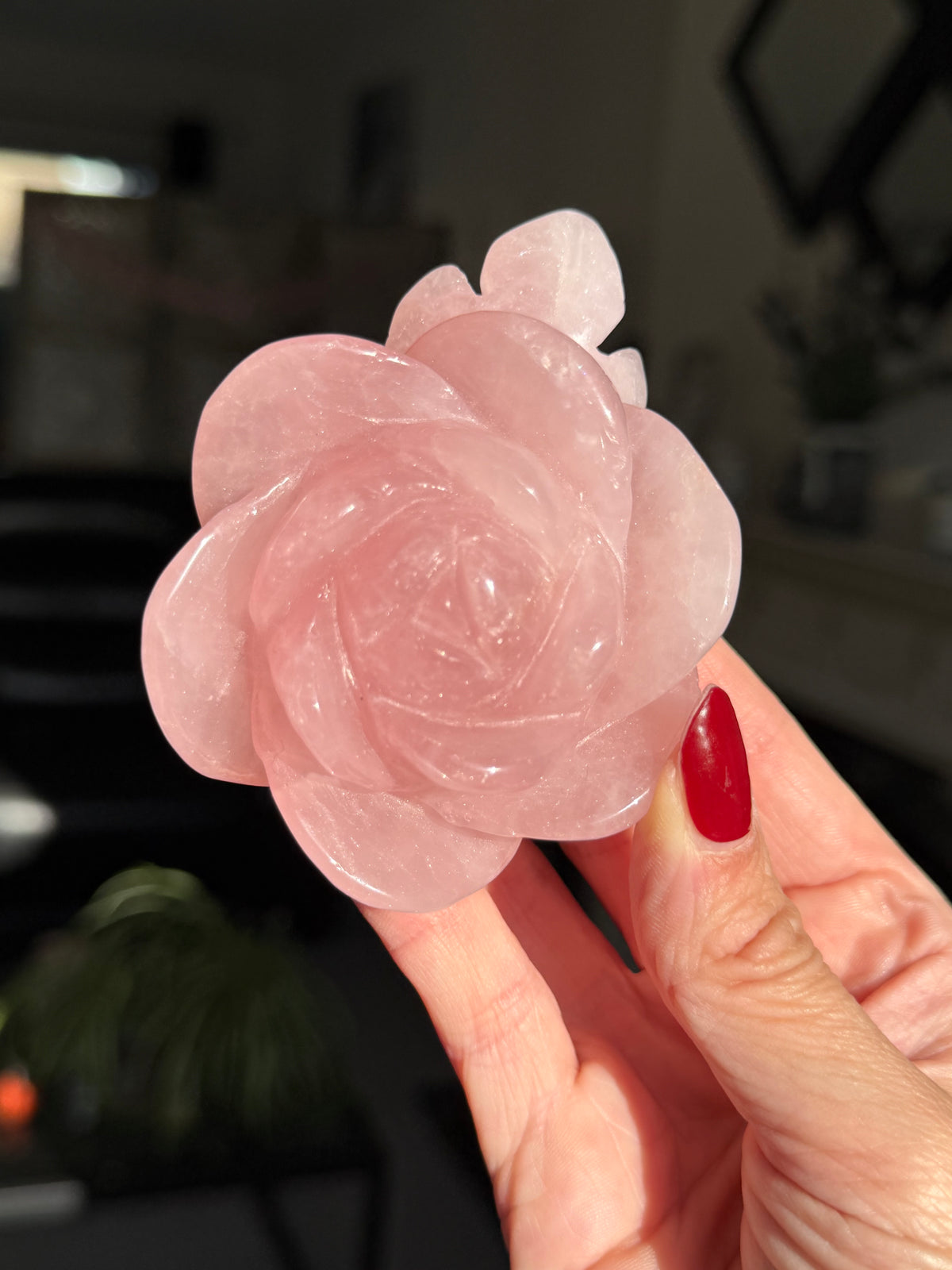 Rose Quartz Rose