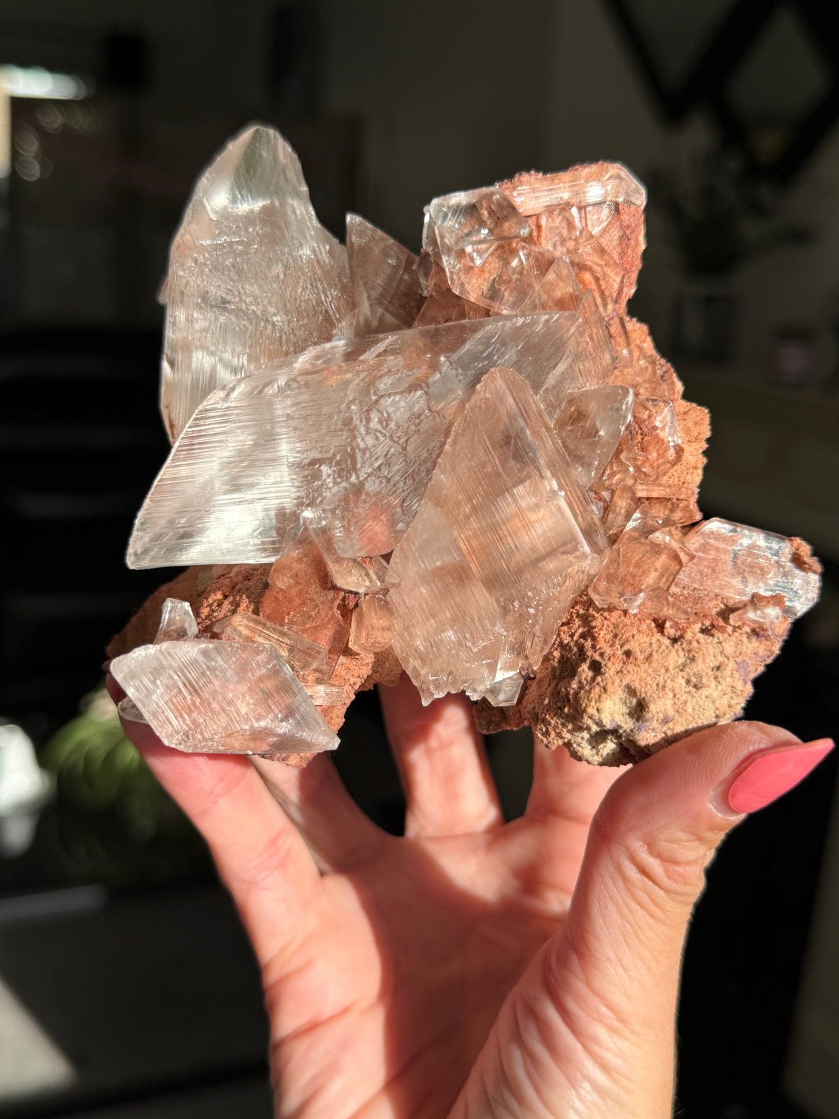 Self Standing Naica Selenite Collectors Piece