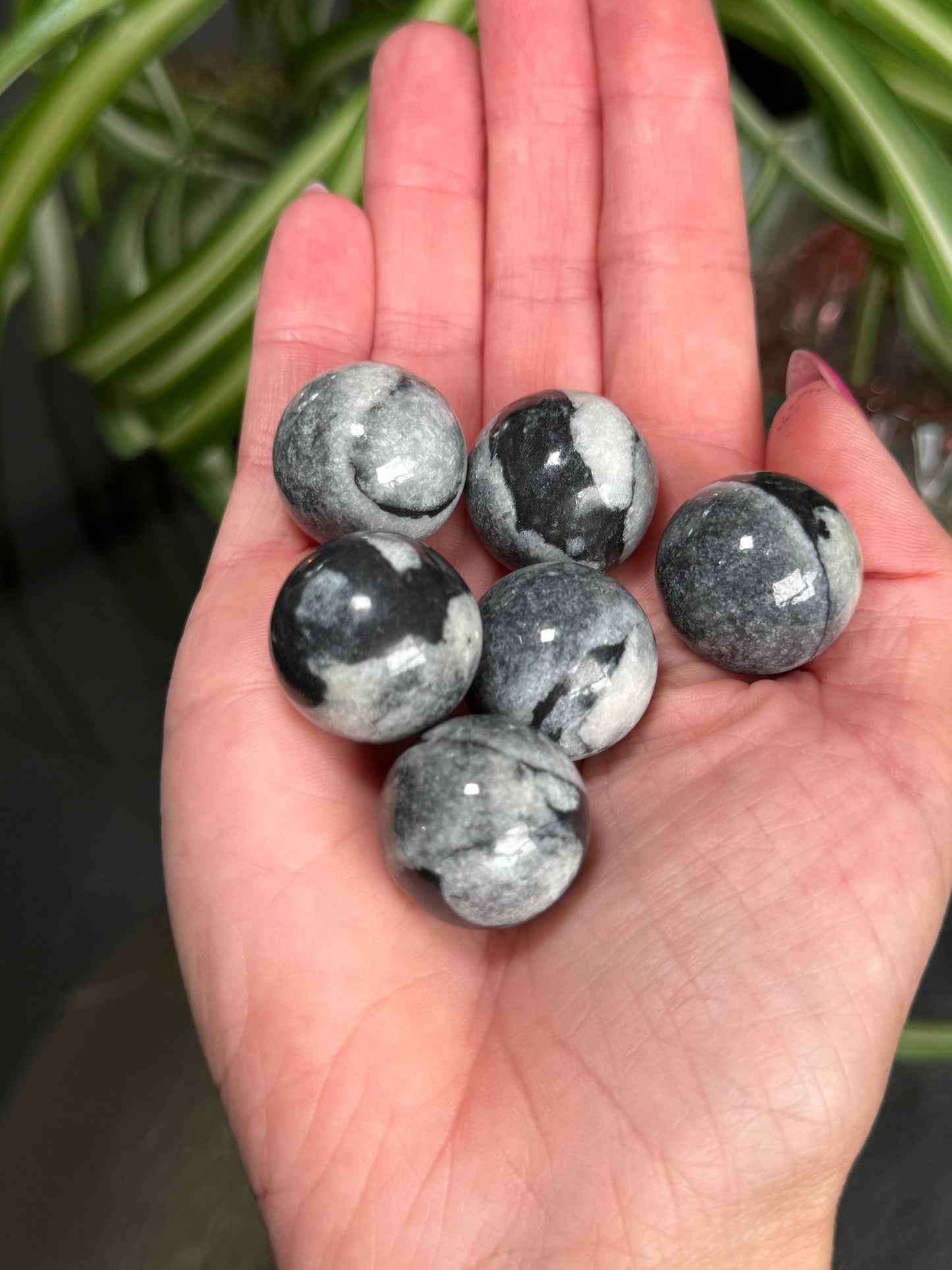 Mini Penguin Jasper Spheres