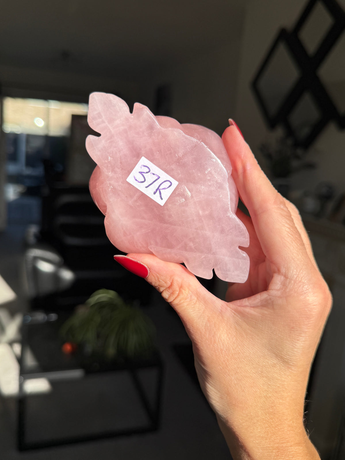 Rose Quartz Rose