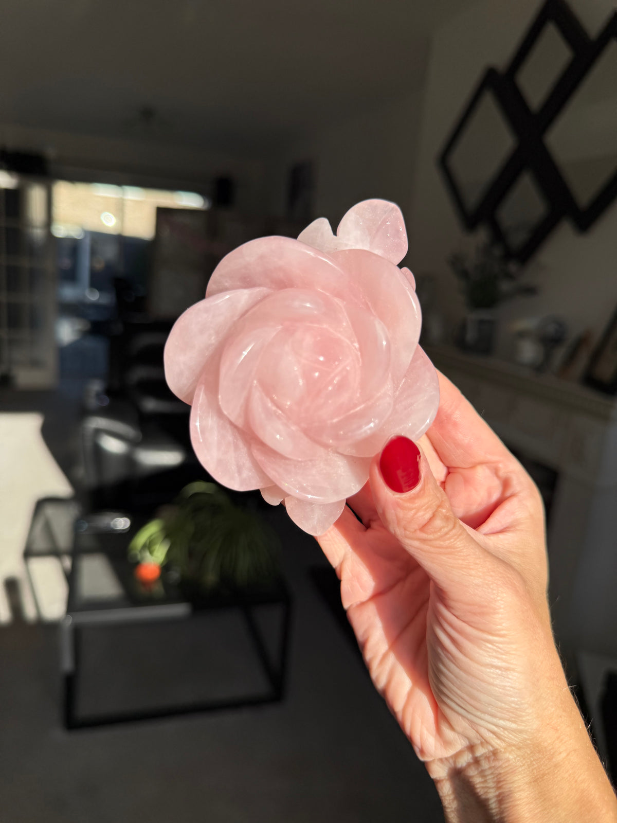 Rose Quartz Rose