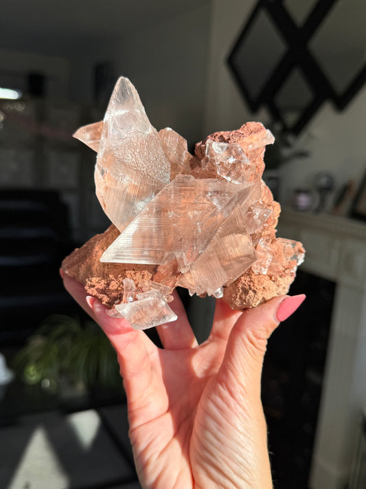 Self Standing Naica Selenite Collectors Piece