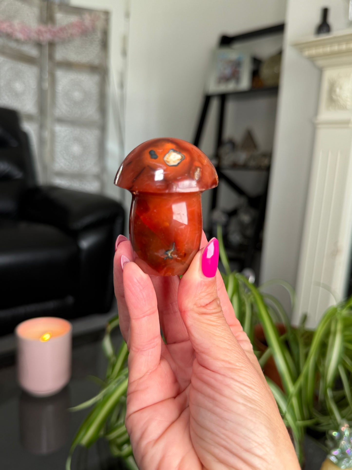 Carnelian Mushroom
