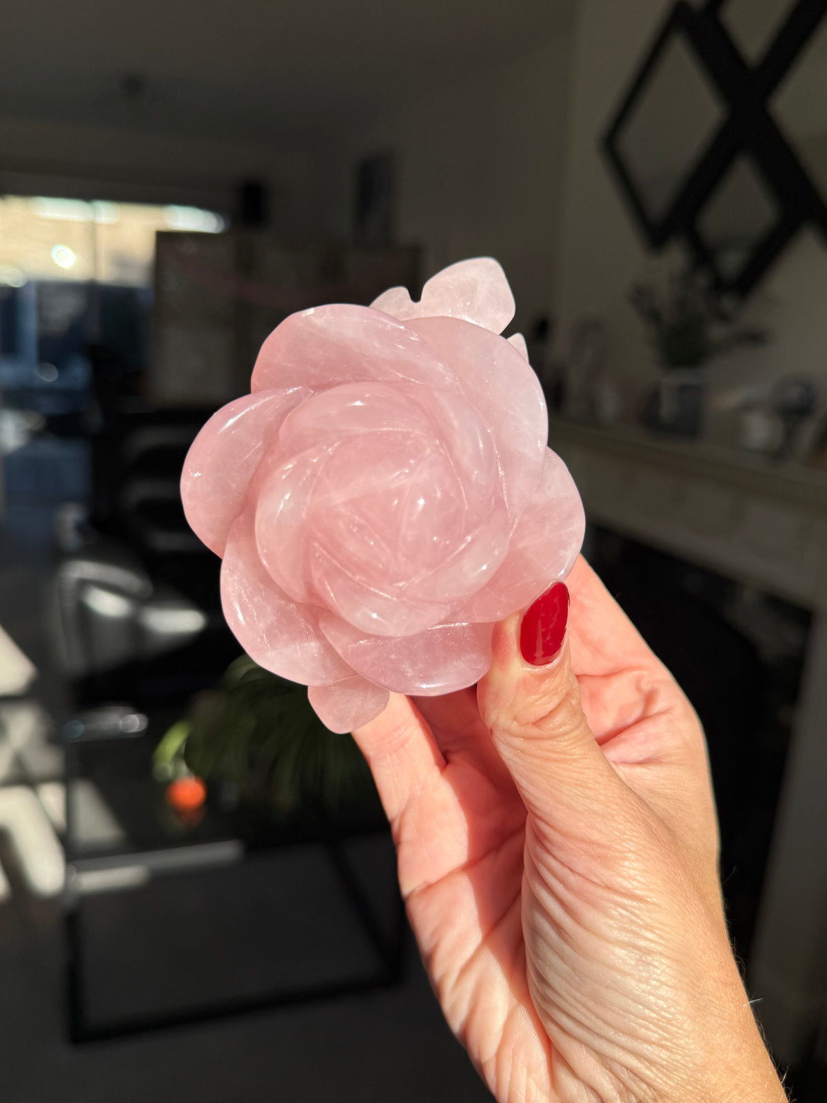 Rose Quartz Rose