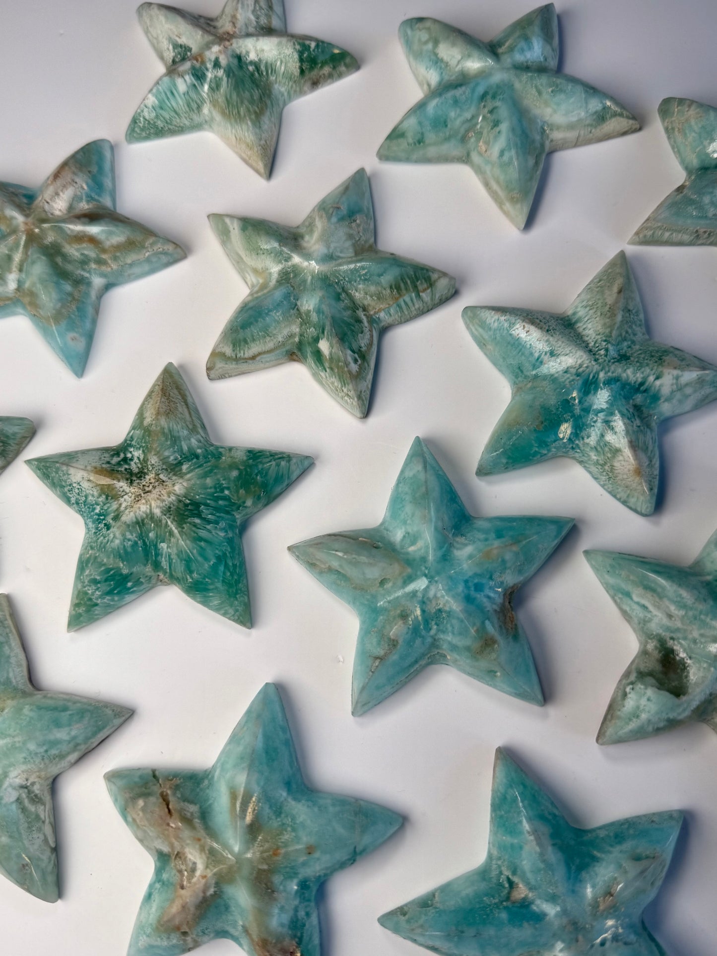 Caribbean Calcite Starfish