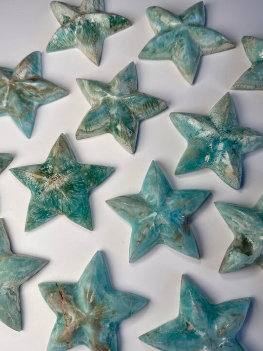 Caribbean Calcite Starfish